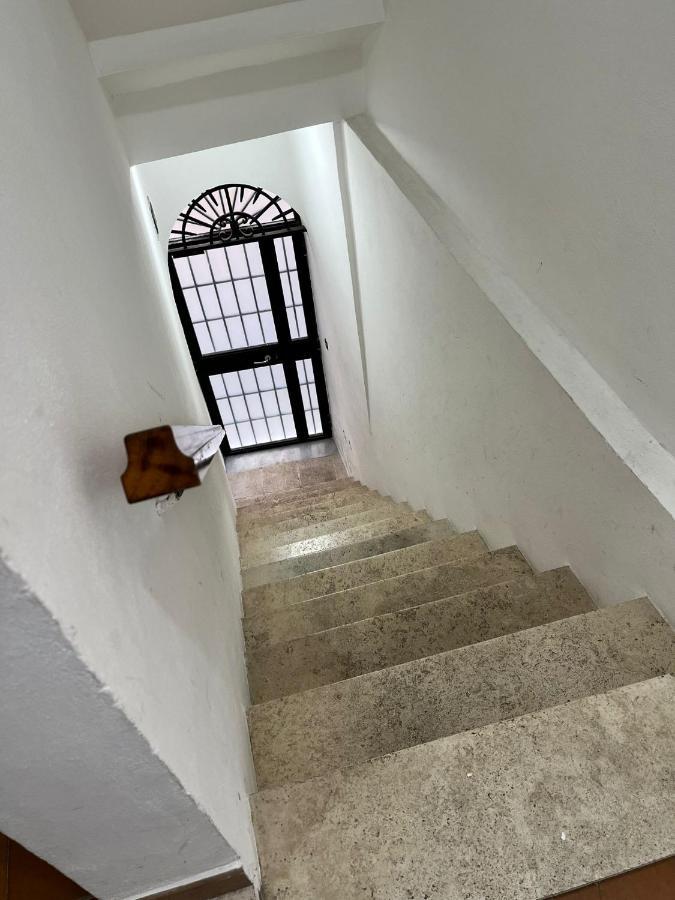 Corehome Albano Laziale Εξωτερικό φωτογραφία